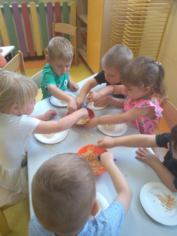 Zajęcia metodą Montessori